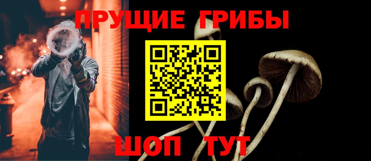 Галлюциногенные грибы прущие грибы  Вход с VPN  Псилоцибиновые грибы мухоморы  Коммунар 
